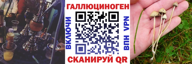 Галлюциногенные грибы мухоморы  Купить закладки  Невельск 